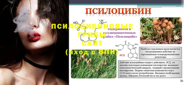 соль курить ск Белокуриха