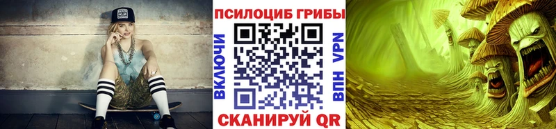 Псилоцибиновые грибы Cubensis  где продают   Шуя 